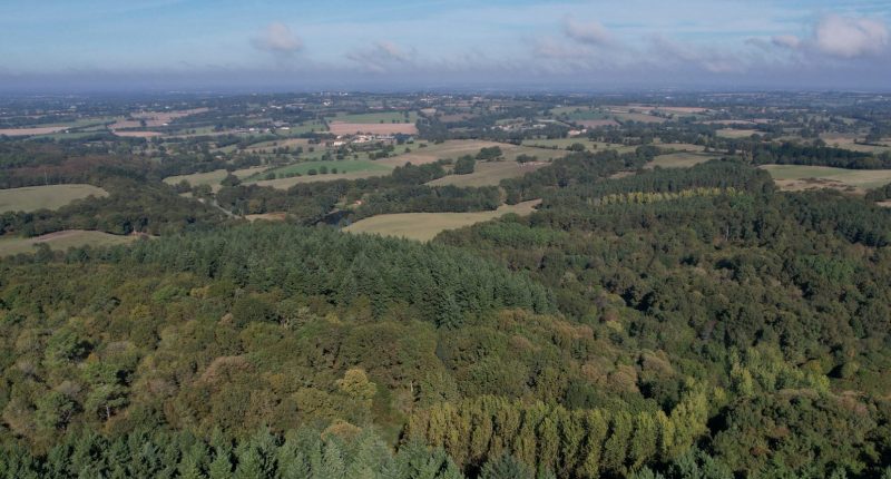 Bois de Maha