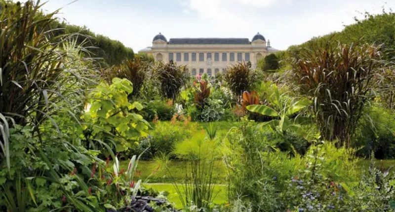 Jardin des Plantes Paris